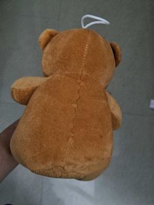 Cute Brown Bear