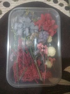 NEW DRY FLOWERS FOR RESIN ART