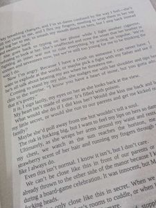 Little Liar by Leigh Rivers