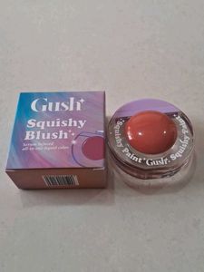 Gush Beauty Squishy Paint Blush