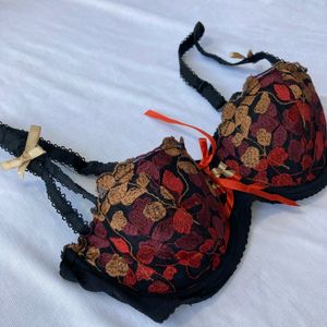 Embroidered Coquette Bra