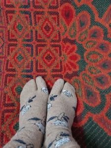 Socks