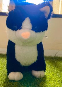 Cat Soft Toy