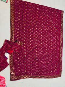 Elegant Embroidered Saree