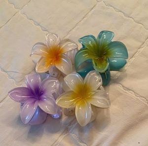 Beautiful Flower Claw Clip🌸😍 Pack Of 5