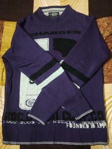 Men Round Neck Sweater
