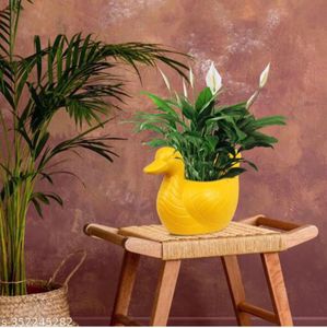 Duck-Shaped Flower Pot