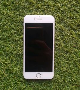 iPhone 6 (64GB) – Display/Touch Not Working – 🍎