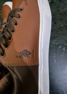 Brand New Men Sneaker In Size 7 US POLO