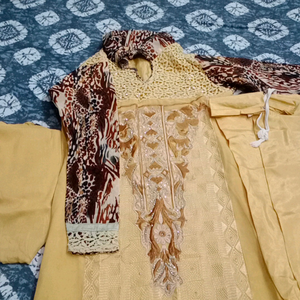 biscut colour suit with tiger print sleaves one day offer