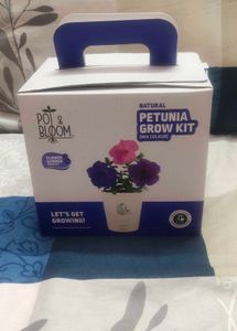Vibrant Petunia Flower Grow Kit