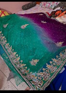 Double Net Hand Work Saree