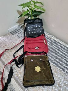 Combo Of 3 Sling Bags