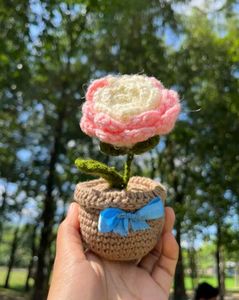 Handmade Flowers Pot