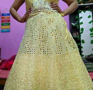 Embroidered Lehenga &amp; Choli