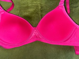 Fig Padded T-shirt Bra