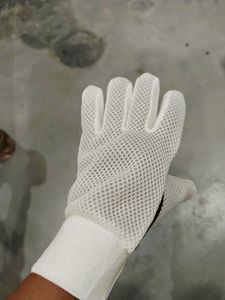 ASC Cricket Gear