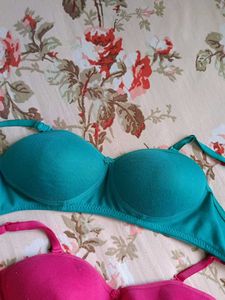 Padded Bra For Womens ❤️✨