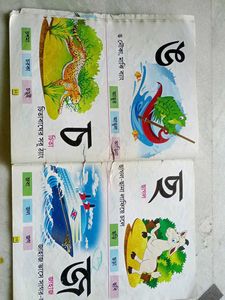 Bengali Alphabet Books