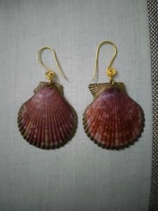 Beautiful Pink Shell Earrings For Women