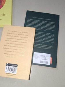 Classic Literature Collection