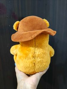 Cute Teddy Bear with Hat
