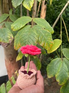 Crochet Rose in Pot