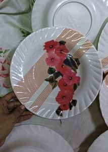 Fiber Plates 🍽️