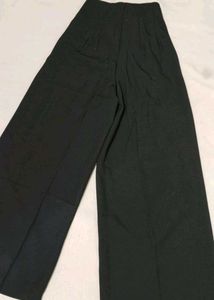 Wide Leg Pleated Pants