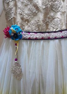 Elegant Ethnic Dress