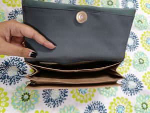 Baggit Clutch