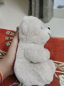 Cute Teddy Bear