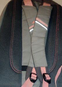 2 Backpacks