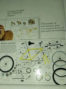 Ultimate Family Visual Dictionary