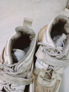 Men Shoe 👞