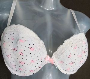 Flamingo Print Bra 🔥