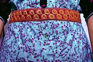 Beautiful Saree Belt