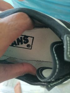 Vans Shoe