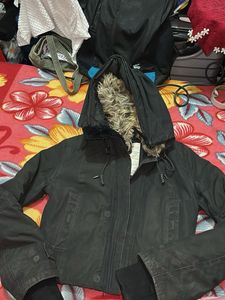 Golden Bear Bancroft Parka