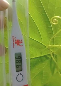 It's A Thermometer. Bought New. Only 1 Left