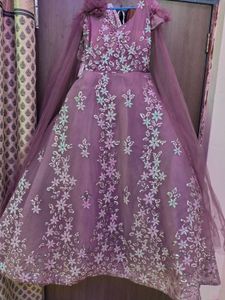 Elegant Ethnic Gown