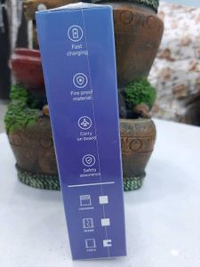 Fast Charging