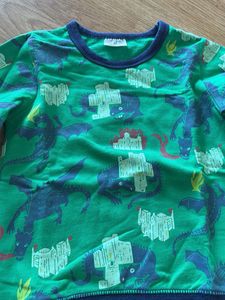 Boys Green Dragon Sweatshirt