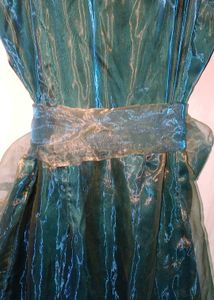 Gorgeous Gown ✨