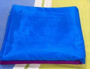 Blue Sari with Blouse