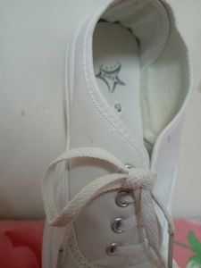 Canvas Shoe