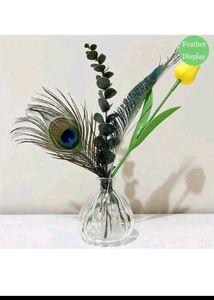 natural peacock feathers (15)