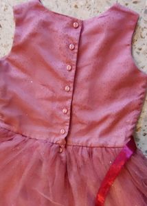 Onion Pink net and satin dress