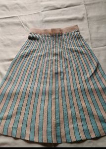 Knee Length Skirt