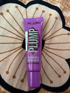 Zudio Plump Berry Lip Gloss